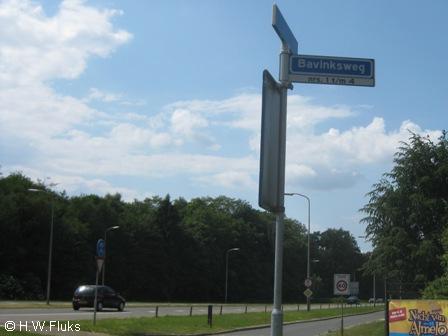 bavink008