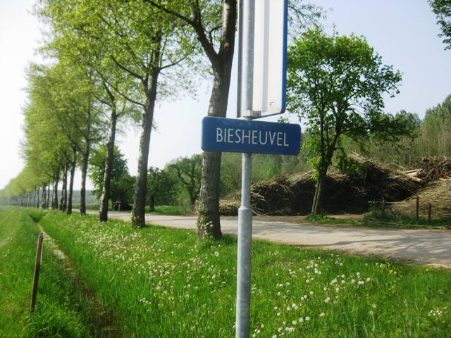 biesheuvel3083