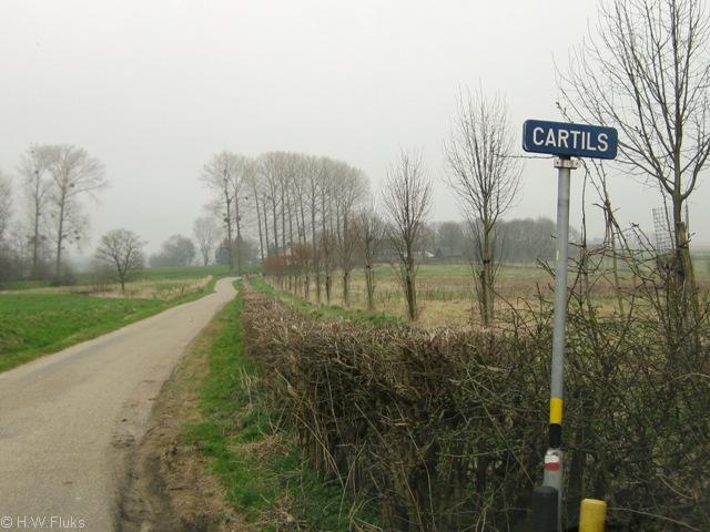 cartils066