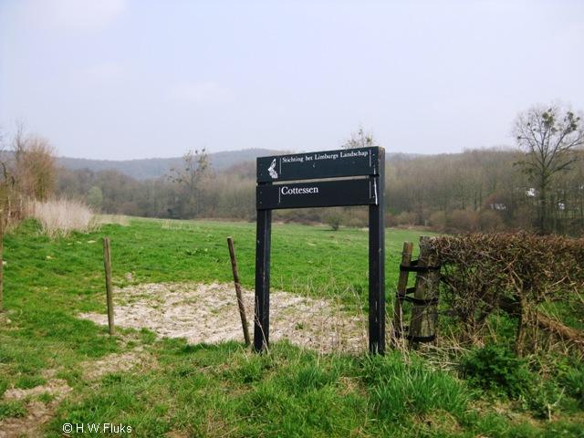 cottessen032