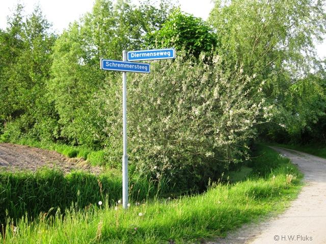 diermen078