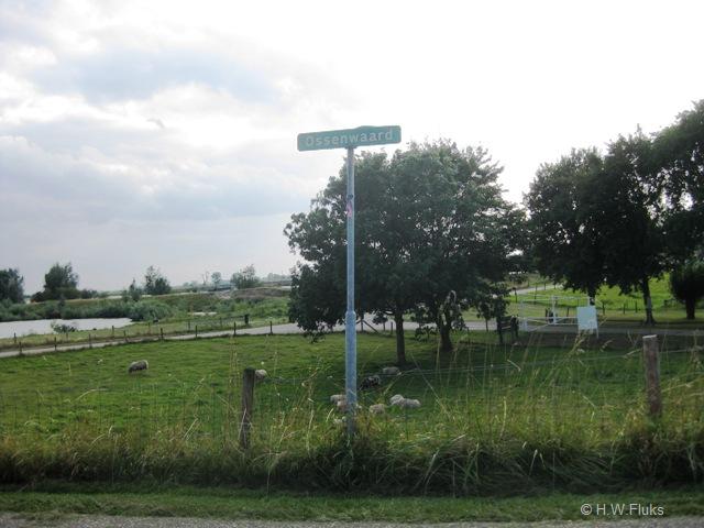 ossenwaard4445