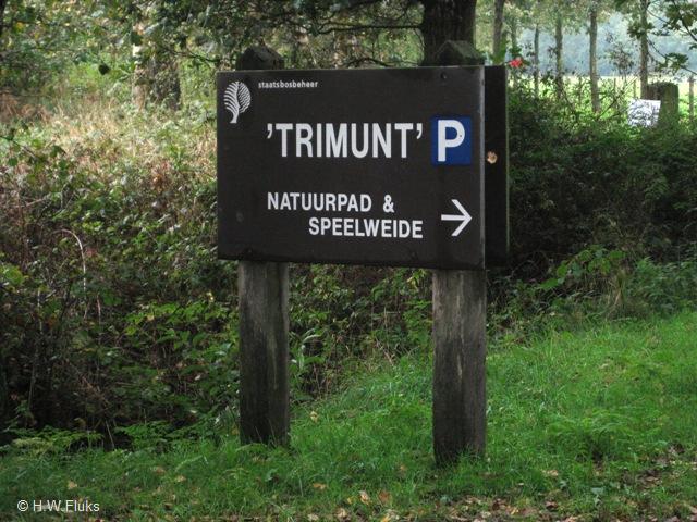 trimunt4888