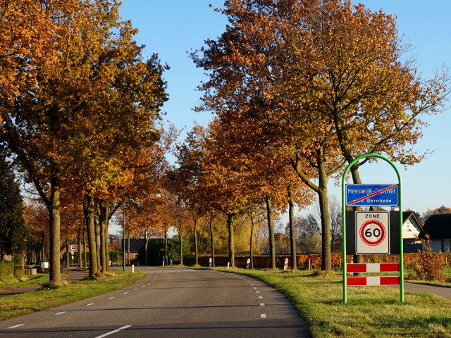 DSC02168heeswijkdinther_e