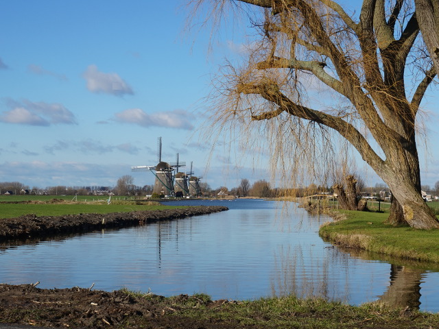 DSC02443wilsveen_z