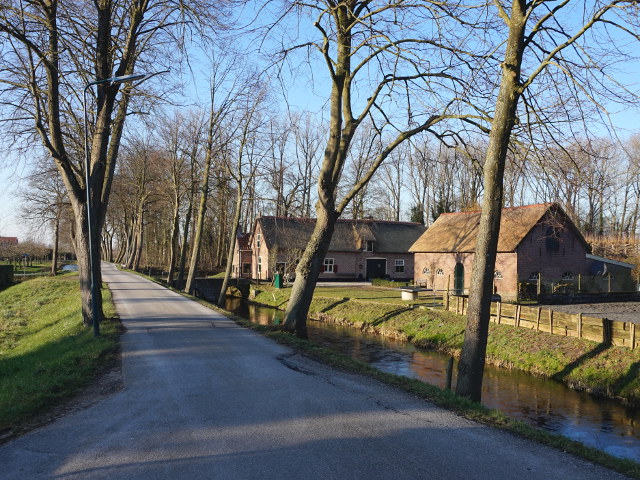 DSC02477jaarsveld_z
