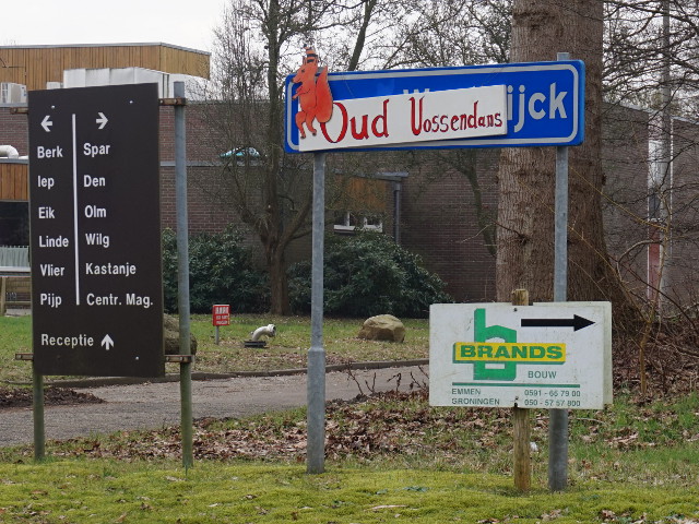 DSC02499sappemeernwwoelwijck