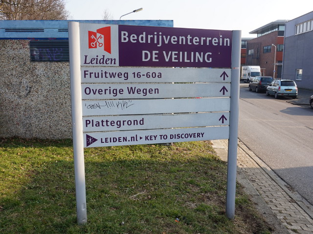 DSC02674deveilingleiden_w