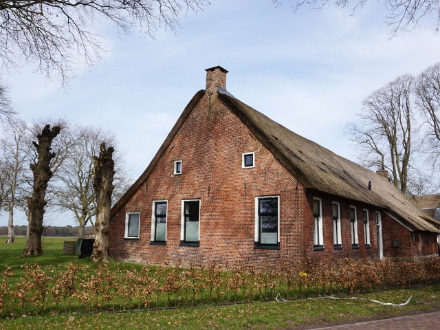 DSC03631peest_z