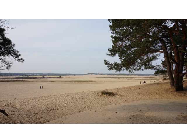DSC03656loonseendrunenseduinen