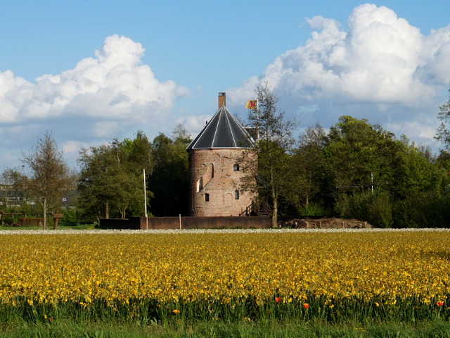 DSC03684lisse_z