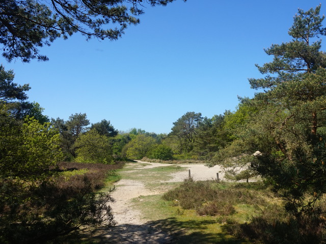 DSC04000schipborg_z