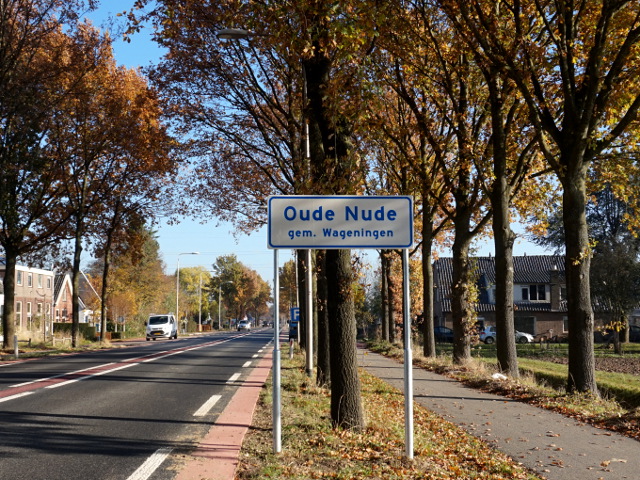 DSC07939oudenude_w