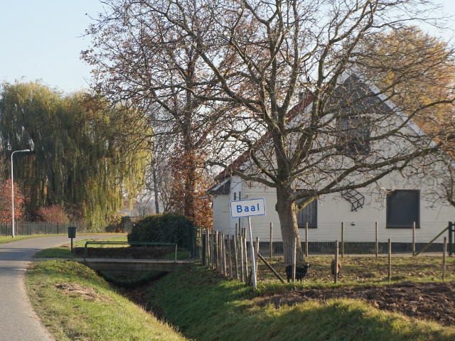 DSC08268baal_w