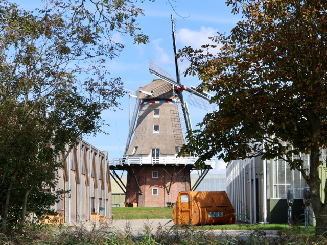 IMG_4193metslawier_z