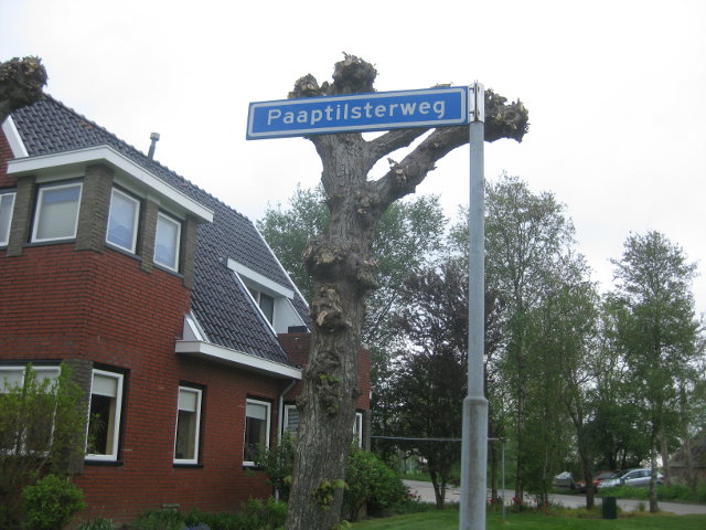 IMG_7766paaptil