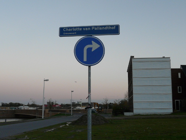 P1010474grauwaart