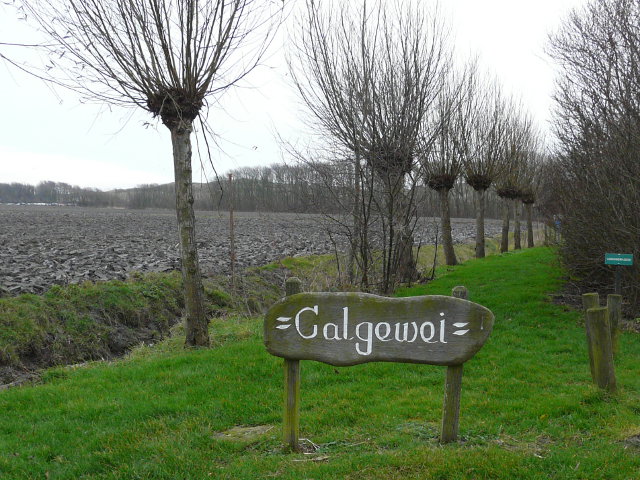 P1020613galgewei