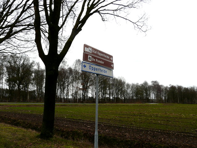 P1020981opperheide