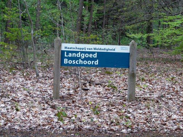 P1050388boschoord