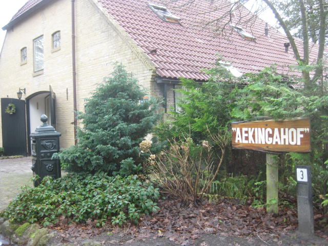 aekinga3630