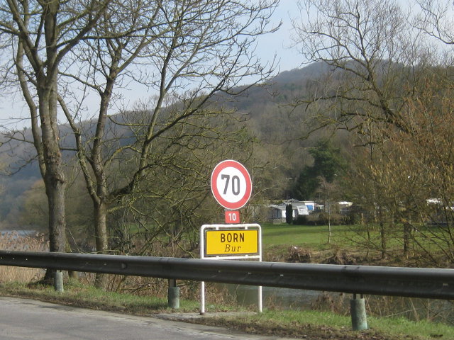 bornlux4236