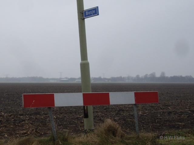 bosjeIMGP1195