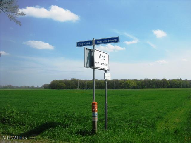 engelandane9559
