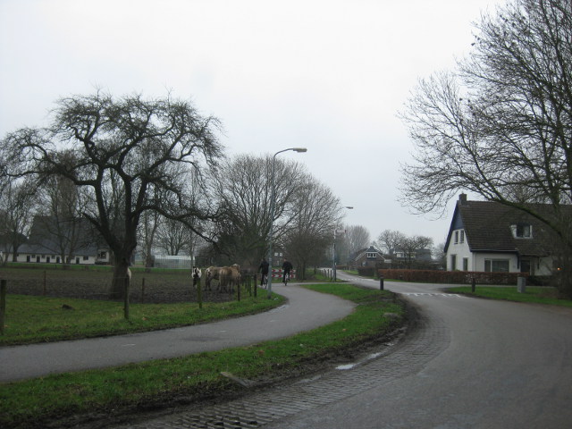 helhoek3671