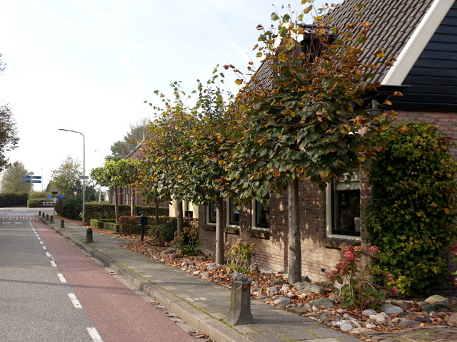 DSC01807scharwoude