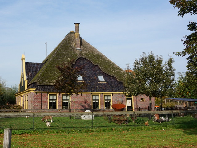 DSC01817opmeer