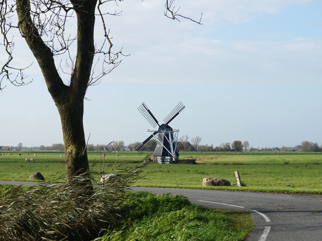 DSC01859tsjeppenbur_z
