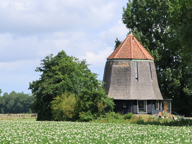 IMG_1575tveld_z