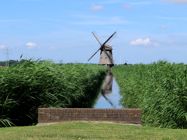 IMG_1599stompetoren_z