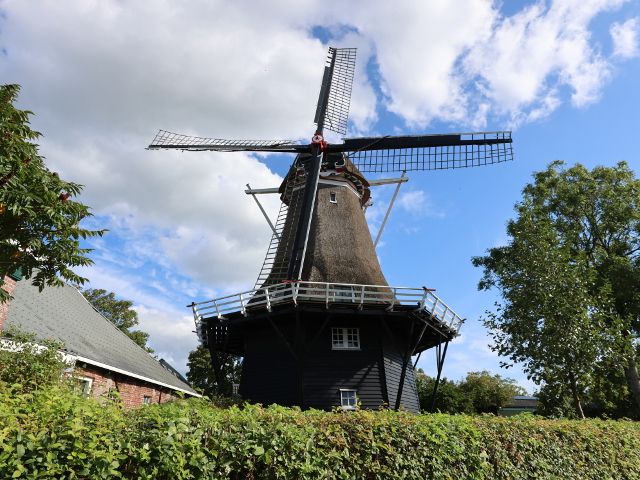IMG_4198holwerd_z