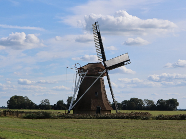 IMG_4206holwerd_z