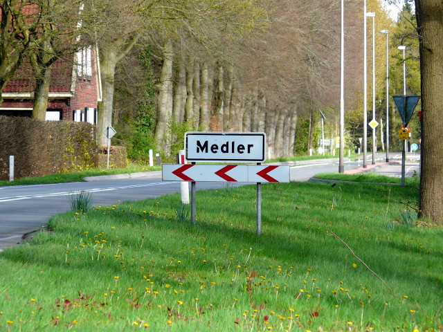 P1310552medler_w