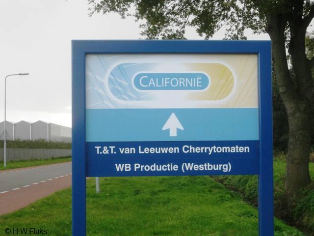 californie1099
