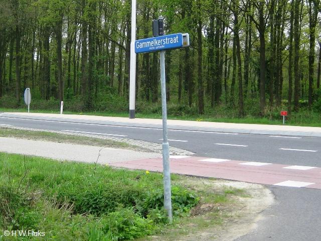 gammelke9593