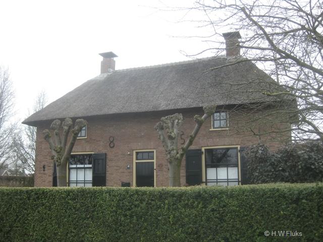 hattelaar8245