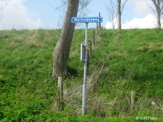 malland9361