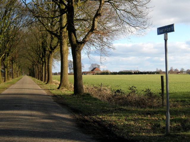 vossebelt054