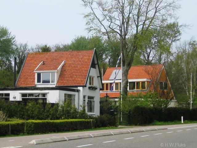 wimmenum9619