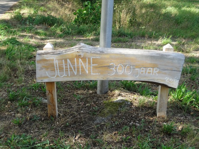 DSC03317junne_kedinger