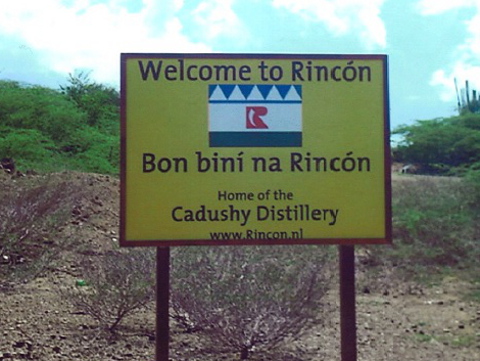 rincon_dehaan
