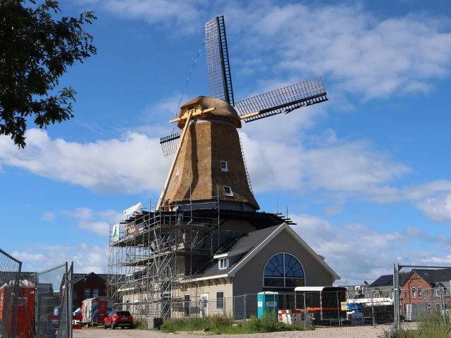 IMG_3892denhelder_z