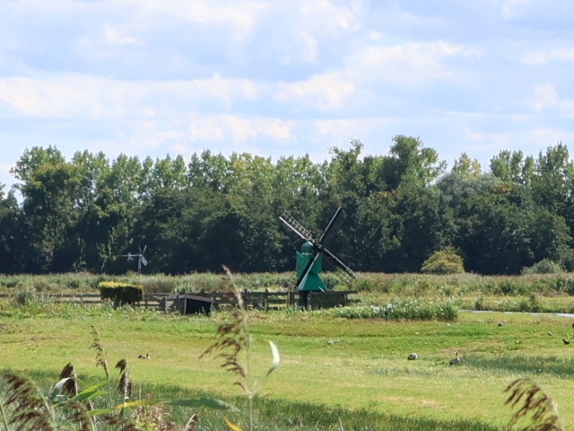 IMG_3924zaandam_z