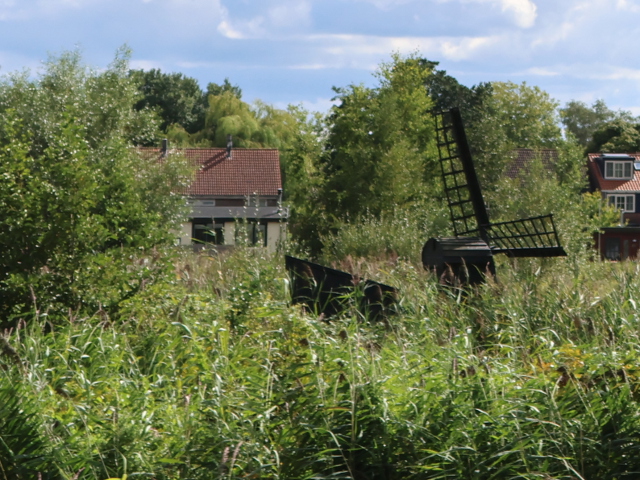 IMG_3938zaandam_z
