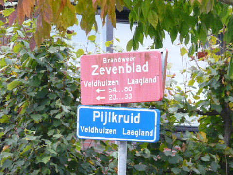 P1100629veldhuizenlaagland