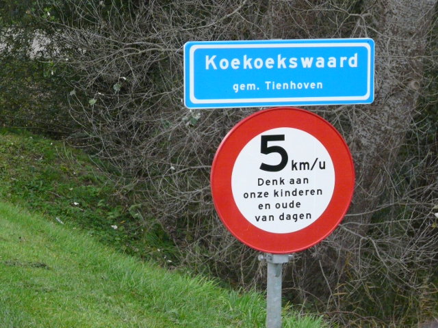 P1120164tienhovenkoekoekswaard